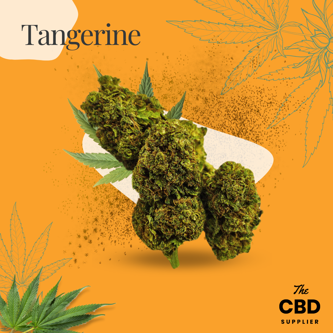 Tangerine CBD Bud